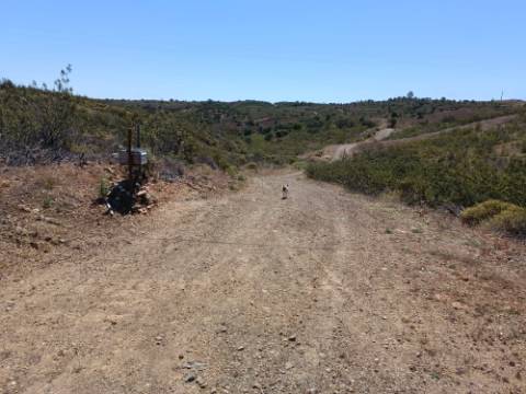 TERRENO COM 34.700 M2 - POSSIBILIDADES DE CONSTRUIR UM ARMAZEM - PRÓXIMO A CHOÇA QUEIMADA EM CASTRO MARIM - ALGARVE