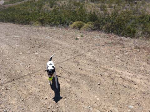 TERRENO COM 34.700 M2 - POSSIBILIDADES DE CONSTRUIR UM ARMAZEM - PRÓXIMO A CHOÇA QUEIMADA EM CASTRO MARIM - ALGARVE