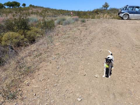 TERRENO COM 34.700 M2 - POSSIBILIDADES DE CONSTRUIR UM ARMAZEM - PRÓXIMO A CHOÇA QUEIMADA EM CASTRO MARIM - ALGARVE