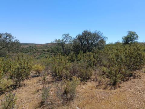 TERRENO COM 34.700 M2 - POSSIBILIDADES DE CONSTRUIR UM ARMAZEM - PRÓXIMO A CHOÇA QUEIMADA EM CASTRO MARIM - ALGARVE