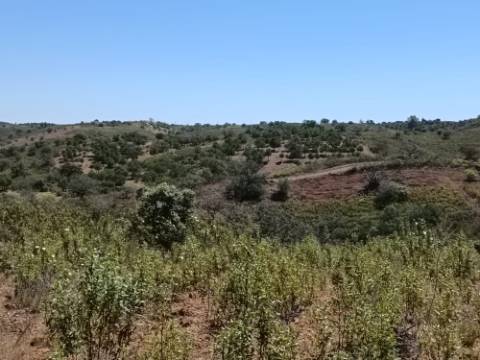 TERRENO COM 34.700 M2 - POSSIBILIDADES DE CONSTRUIR UM ARMAZEM - PRÓXIMO A CHOÇA QUEIMADA EM CASTRO MARIM - ALGARVE