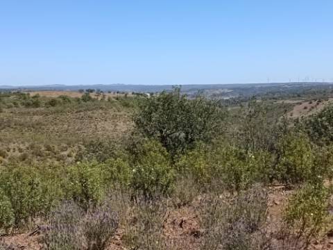 TERRENO COM 34.700 M2 - POSSIBILIDADES DE CONSTRUIR UM ARMAZEM - PRÓXIMO A CHOÇA QUEIMADA EM CASTRO MARIM - ALGARVE