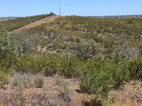 TERRENO COM 34.700 M2 - POSSIBILIDADES DE CONSTRUIR UM ARMAZEM - PRÓXIMO A CHOÇA QUEIMADA EM CASTRO MARIM - ALGARVE