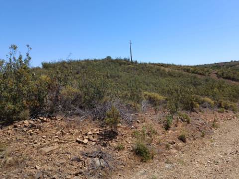 TERRENO COM 34.700 M2 - POSSIBILIDADES DE CONSTRUIR UM ARMAZEM - PRÓXIMO A CHOÇA QUEIMADA EM CASTRO MARIM - ALGARVE