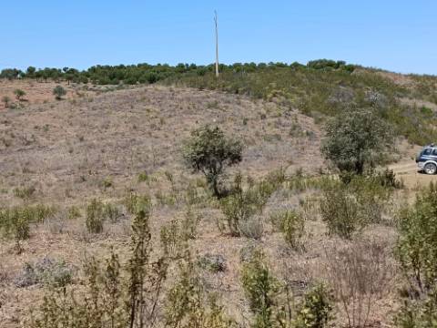 TERRENO COM 34.700 M2 - POSSIBILIDADES DE CONSTRUIR UM ARMAZEM - PRÓXIMO A CHOÇA QUEIMADA EM CASTRO MARIM - ALGARVE