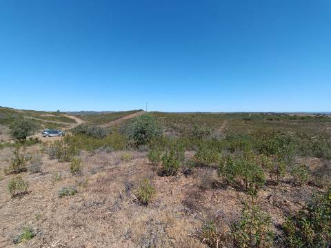 TERRENO COM 34.700 M2 - POSSIBILIDADES DE CONSTRUIR UM ARMAZEM - PRÓXIMO A CHOÇA QUEIMADA EM CASTRO MARIM - ALGARVE