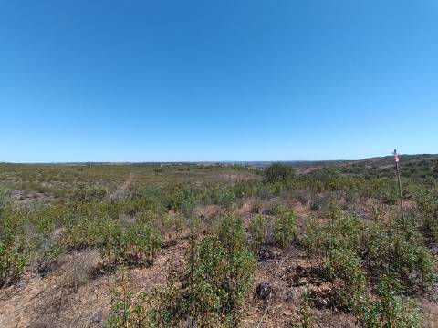 TERRENO COM 34.700 M2 - POSSIBILIDADES DE CONSTRUIR UM ARMAZEM - PRÓXIMO A CHOÇA QUEIMADA EM CASTRO MARIM - ALGARVE