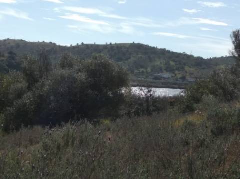 TERRENO RUSTICO COM 5.520 M2 - VISTA RIO GUADIANA - FOZ DE ODELEITE - CASTRO MARIM - ALGARVE