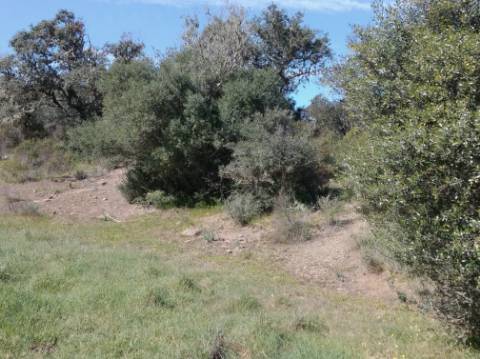 TERRENO RUSTICO COM 5.520 M2 - VISTA RIO GUADIANA - FOZ DE ODELEITE - CASTRO MARIM - ALGARVE