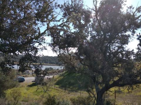 TERRENO RUSTICO COM 5.520 M2 - VISTA RIO GUADIANA - FOZ DE ODELEITE - CASTRO MARIM - ALGARVE