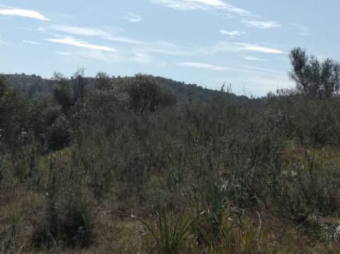 TERRENO RUSTICO COM 5.520 M2 - VISTA RIO GUADIANA - FOZ DE ODELEITE - CASTRO MARIM - ALGARVE