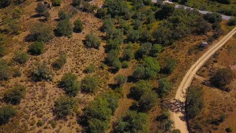 TERRENO RUSTICO COM 5.520 M2 - VISTA RIO GUADIANA - FOZ DE ODELEITE - CASTRO MARIM - ALGARVE