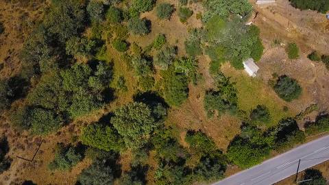 TERRENO RUSTICO COM 5.520 M2 - VISTA RIO GUADIANA - FOZ DE ODELEITE - CASTRO MARIM - ALGARVE