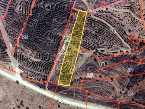 TERRENO RUSTICO COM 5.920 M2 - PRÓXIMO DO PIÇARRAL - CASTRO MARIM - ALGARVE