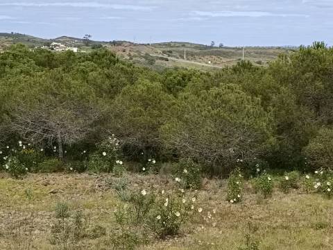 TERRENO RUSTICO COM 5.920 M2 - PRÓXIMO DO PIÇARRAL - CASTRO MARIM - ALGARVE