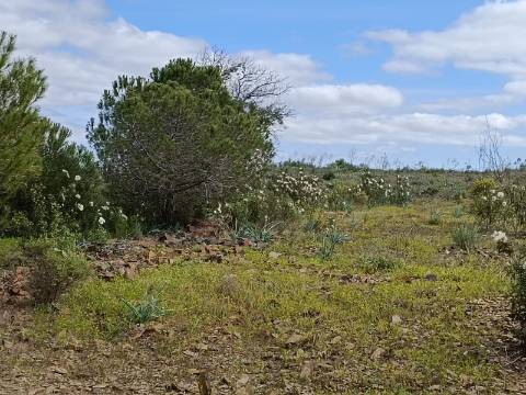 TERRENO RUSTICO COM 5.920 M2 - PRÓXIMO DO PIÇARRAL - CASTRO MARIM - ALGARVE