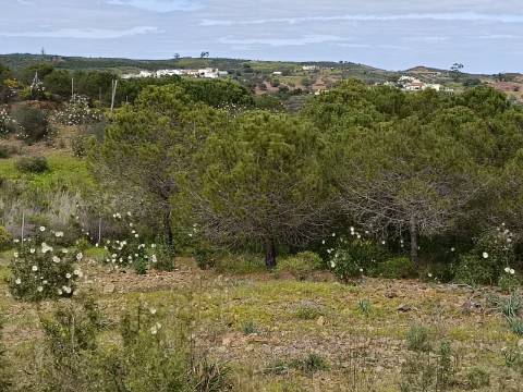 TERRENO RUSTICO COM 5.920 M2 - PRÓXIMO DO PIÇARRAL - CASTRO MARIM - ALGARVE