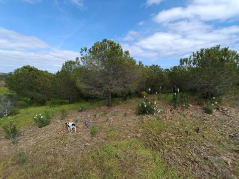 TERRENO RUSTICO COM 5.920 M2 - PRÓXIMO DO PIÇARRAL - CASTRO MARIM - ALGARVE