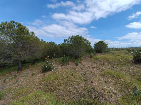 TERRENO RUSTICO COM 5.920 M2 - PRÓXIMO DO PIÇARRAL - CASTRO MARIM - ALGARVE