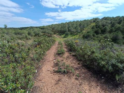 TERRENO RUSTICO COM 5.920 M2 - PRÓXIMO DO PIÇARRAL - CASTRO MARIM - ALGARVE