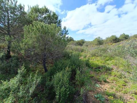TERRENO RUSTICO COM 5.920 M2 - PRÓXIMO DO PIÇARRAL - CASTRO MARIM - ALGARVE