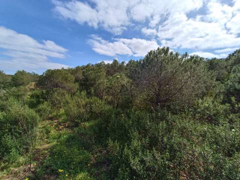 TERRENO RUSTICO COM 5.920 M2 - PRÓXIMO DO PIÇARRAL - CASTRO MARIM - ALGARVE