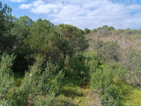 TERRENO RUSTICO COM 5.920 M2 - PRÓXIMO DO PIÇARRAL - CASTRO MARIM - ALGARVE