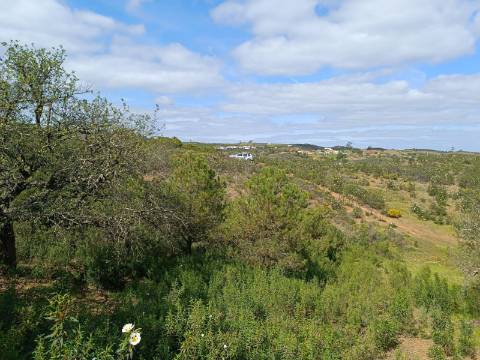 TERRENO RUSTICO COM 5.920 M2 - PRÓXIMO DO PIÇARRAL - CASTRO MARIM - ALGARVE