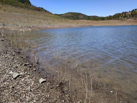 TERRENO COM 20 HECTARES - JUNTO AO LAGO - POSSIBILIDADE DE CONSTRUÇÃO - TURISMO - CORTE DO GAGO - CASTRO MARIM - ALGARVE