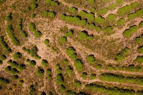 TERRENO COM 20 HECTARES - JUNTO AO LAGO - POSSIBILIDADE DE CONSTRUÇÃO - TURISMO - CORTE DO GAGO - CASTRO MARIM - ALGARVE