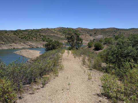 TERRENO COM 20 HECTARES - JUNTO AO LAGO - POSSIBILIDADE DE CONSTRUÇÃO - TURISMO - CORTE DO GAGO - CASTRO MARIM - ALGARVE