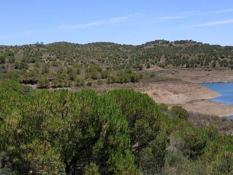 TERRENO COM 20 HECTARES - JUNTO AO LAGO - POSSIBILIDADE DE CONSTRUÇÃO - TURISMO - CORTE DO GAGO - CASTRO MARIM - ALGARVE