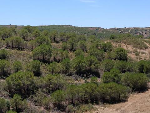 TERRENO COM 20 HECTARES - JUNTO AO LAGO - POSSIBILIDADE DE CONSTRUÇÃO - TURISMO - CORTE DO GAGO - CASTRO MARIM - ALGARVE