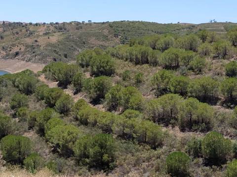 TERRENO COM 20 HECTARES - JUNTO AO LAGO - POSSIBILIDADE DE CONSTRUÇÃO - TURISMO - CORTE DO GAGO - CASTRO MARIM - ALGARVE