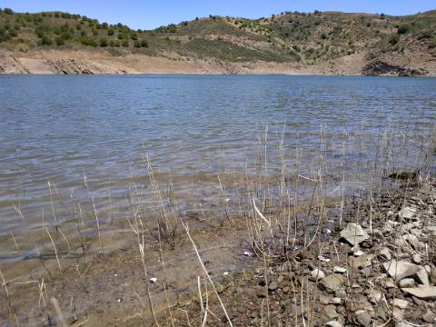 TERRENO COM 20 HECTARES - JUNTO AO LAGO - POSSIBILIDADE DE CONSTRUÇÃO - TURISMO - CORTE DO GAGO - CASTRO MARIM - ALGARVE