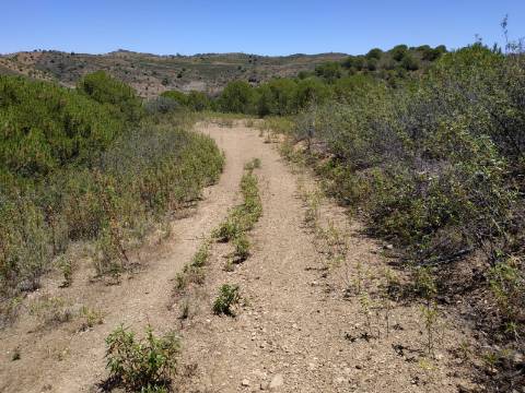 TERRENO COM 20 HECTARES - JUNTO AO LAGO - POSSIBILIDADE DE CONSTRUÇÃO - TURISMO - CORTE DO GAGO - CASTRO MARIM - ALGARVE
