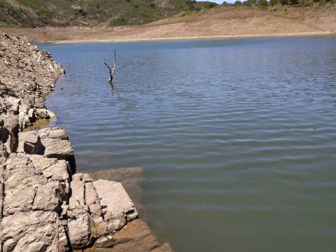 TERRENO COM 20 HECTARES - JUNTO AO LAGO - POSSIBILIDADE DE CONSTRUÇÃO - TURISMO - CORTE DO GAGO - CASTRO MARIM - ALGARVE