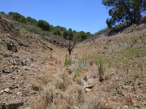 TERRENO COM 20 HECTARES - JUNTO AO LAGO - POSSIBILIDADE DE CONSTRUÇÃO - TURISMO - CORTE DO GAGO - CASTRO MARIM - ALGARVE
