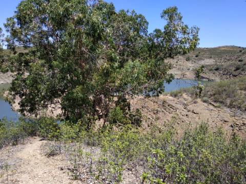 TERRENO COM 20 HECTARES - JUNTO AO LAGO - POSSIBILIDADE DE CONSTRUÇÃO - TURISMO - CORTE DO GAGO - CASTRO MARIM - ALGARVE