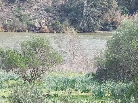 TERRENO RUSTICO COM 1.520 M2 - JUNTO AO RIO GUADIANA - ALCOUTIM - ALGARVE