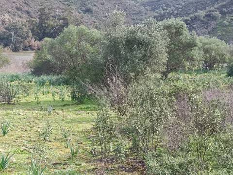 TERRENO RUSTICO COM 1.520 M2 - JUNTO AO RIO GUADIANA - ALCOUTIM - ALGARVE