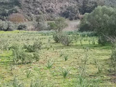 TERRENO RUSTICO COM 1.520 M2 - JUNTO AO RIO GUADIANA - ALCOUTIM - ALGARVE