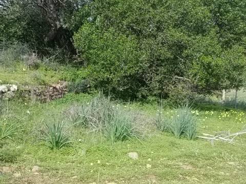 TERRENO RUSTICO COM 1.520 M2 - JUNTO AO RIO GUADIANA - ALCOUTIM - ALGARVE