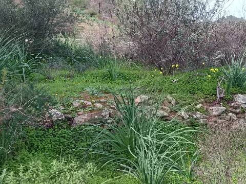 TERRENO RUSTICO COM 1.520 M2 - JUNTO AO RIO GUADIANA - ALCOUTIM - ALGARVE