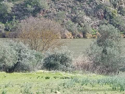 TERRENO RUSTICO COM 1.520 M2 - JUNTO AO RIO GUADIANA - ALCOUTIM - ALGARVE