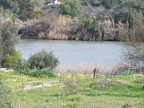 TERRENO RUSTICO COM 1.520 M2 - JUNTO AO RIO GUADIANA - ALCOUTIM - ALGARVE