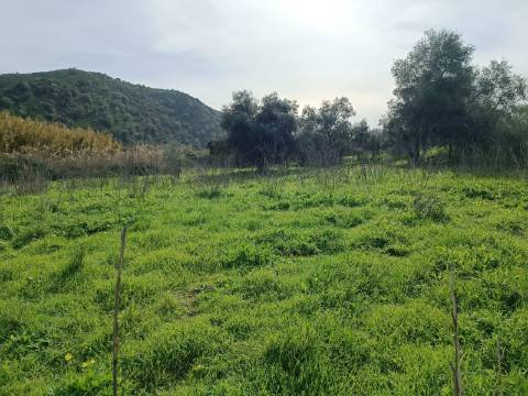 TERRENO RUSTICO COM 1.520 M2 - JUNTO AO RIO GUADIANA - ALCOUTIM - ALGARVE