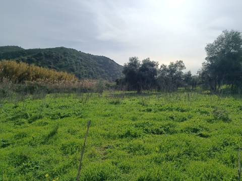 TERRENO RUSTICO COM 1.520 M2 - JUNTO AO RIO GUADIANA - ALCOUTIM - ALGARVE