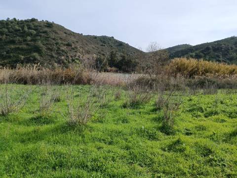 TERRENO RUSTICO COM 1.520 M2 - JUNTO AO RIO GUADIANA - ALCOUTIM - ALGARVE