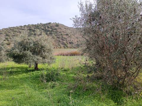 TERRENO RUSTICO COM 1.520 M2 - JUNTO AO RIO GUADIANA - ALCOUTIM - ALGARVE